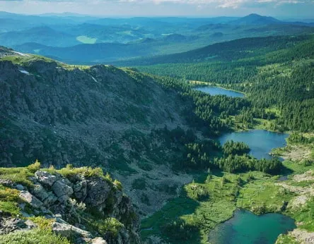 Сібір тайгасынан әлемдік брендке